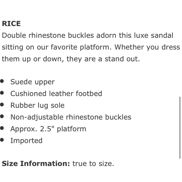 NWT J/SLIDES RICE Sand Suede Sandal - Picture 6 of 15